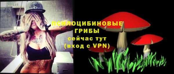 apvp Белокуриха
