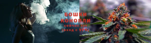 apvp Белокуриха