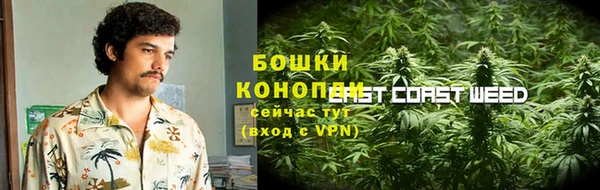 apvp Белокуриха