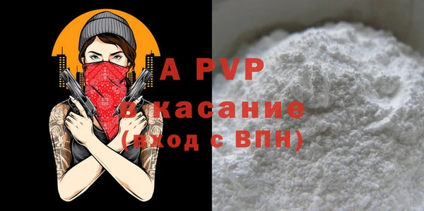 apvp Белокуриха